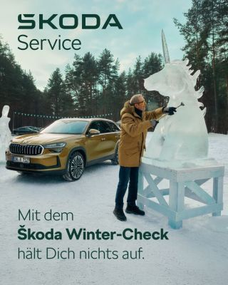 Unser Wintercheck, Jetzt Anmelden und sicher durch den Winter kommen.